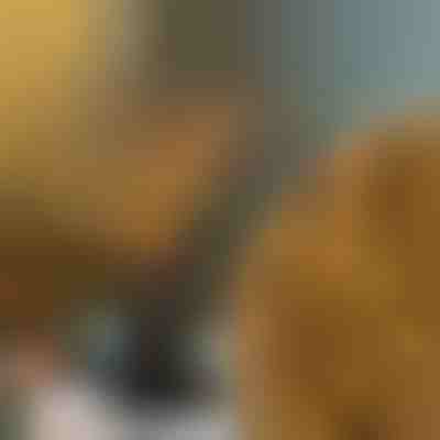 Crengi cu lumini LED | BRANCHLUMOS