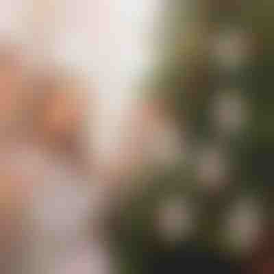 Ornamente de Crăciun cu suport pentru bani (4pcs) | WEALTHMAS