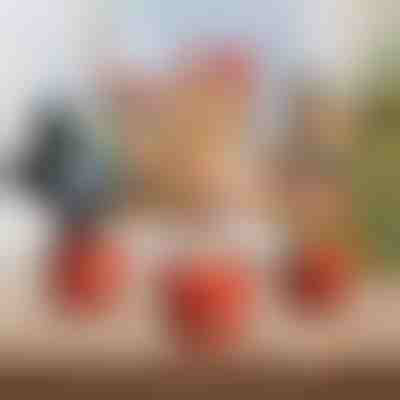 Jucărie interactivă de Crăciun | DANCETKO