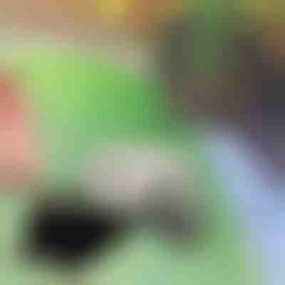 Piatră falsă pentru ascunderea cheilor | KEYBLEND