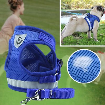 Ham reflectorizant reglabil pentru animale de companie și lesă | LEASHNGO