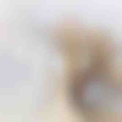 Recipient pentru depozitarea alimentelor | DIVERINO