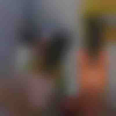 Clește 5-în-1 pentru fire | WIRECLA