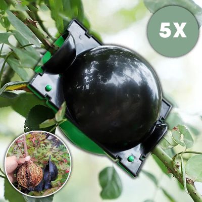 Cutie de propagare pentru rădăcini sănătoase (5 bucăți) | ROOTY