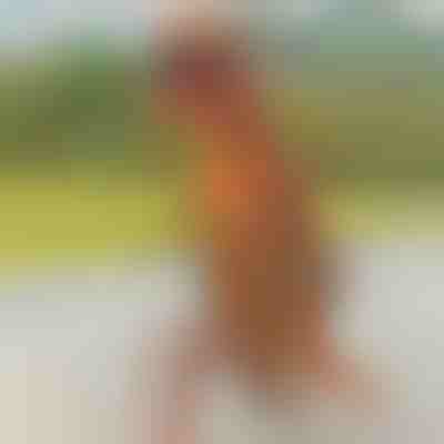 Costum gonflabil în formă de dinozaur | TREXCOS