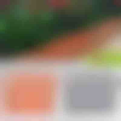 Borduri cu aspect de cărămidă | TERRABARIC