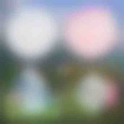 Bula gonflabilă multifuncțională | SLIMEBUB